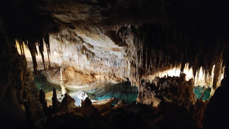 Drach Caves and Palma or Beach Retreat  Full-Day Tour - The Experience of the Drach Caves Visit