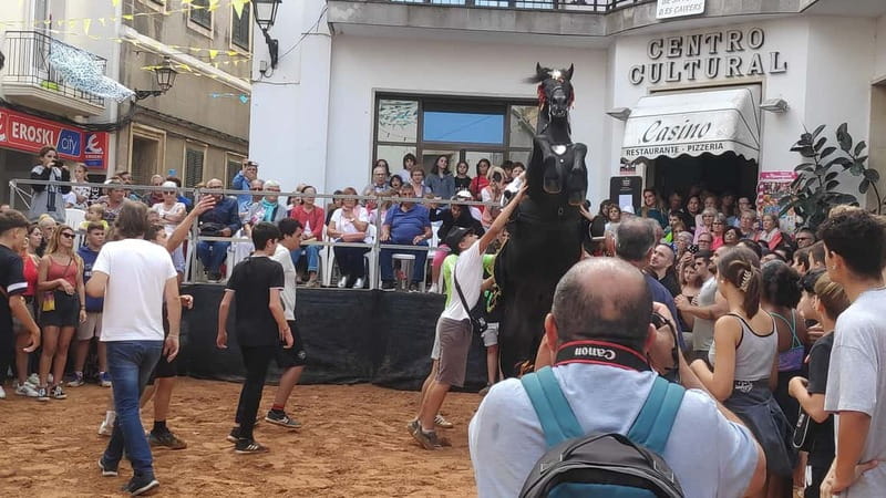 Drach Caves and Palma or Beach Retreat  Full-Day Tour - Who Will Appreciate This Mallorca Tour?