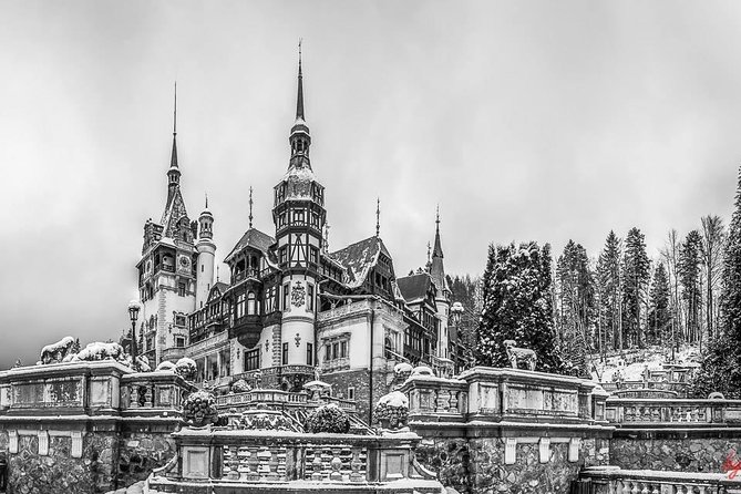 Dracula's Castle, Peles Castle and Brasov - Private Day Trip from Bucharest - Exploring the Historic Charm of Brasov