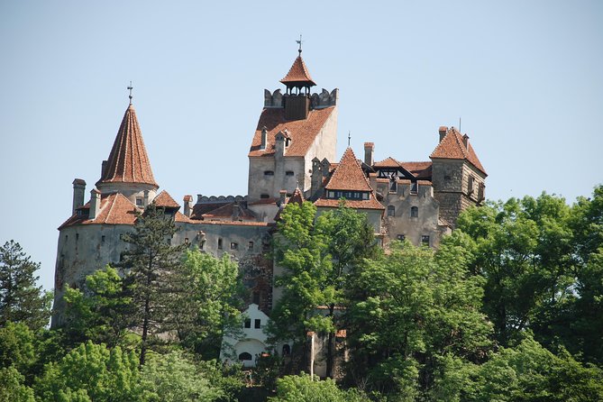 Dracula's Castle & Peles Palace Tour from Bucharest Including Brasov Old Town - The Experience of a Private Guided Tour
