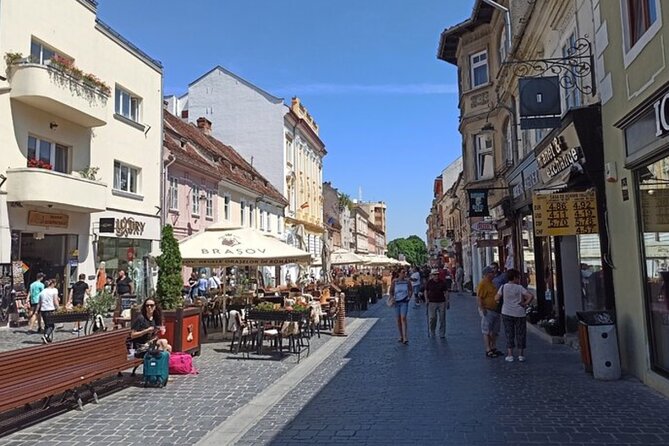 Dracula's Castle Private Tour with Braov City and Pele Castle - Convenience and Comfort of Private Transportation