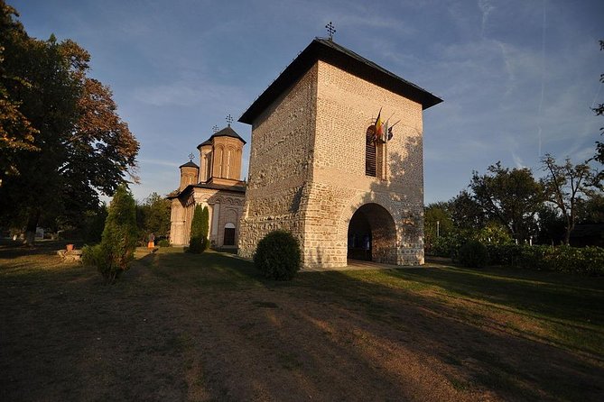 Dracula's Tomb and Mogosoaia Palace, Private Tour from Bucharest - Lake Snagov: Nature and Biodiversity