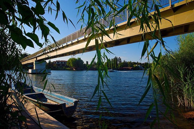 Dracula's Tomb and Mogosoaia Palace, Private Tour from Bucharest - The Guide: Radu’s Expertise and Engaging Style