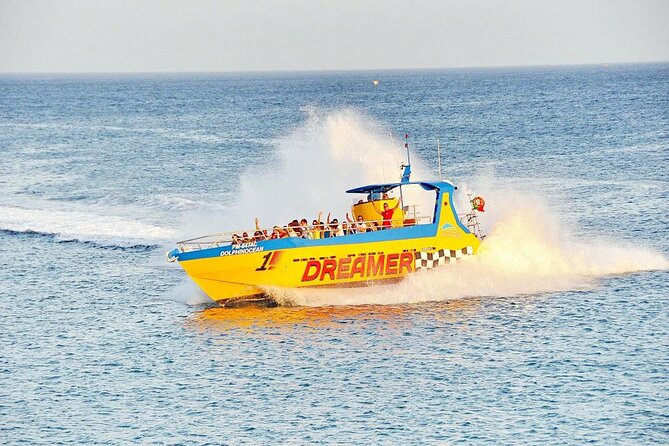 Dreamer Cave and Dolphins Boat Tour Ticket Albufeira - Practical Tips for the Tour