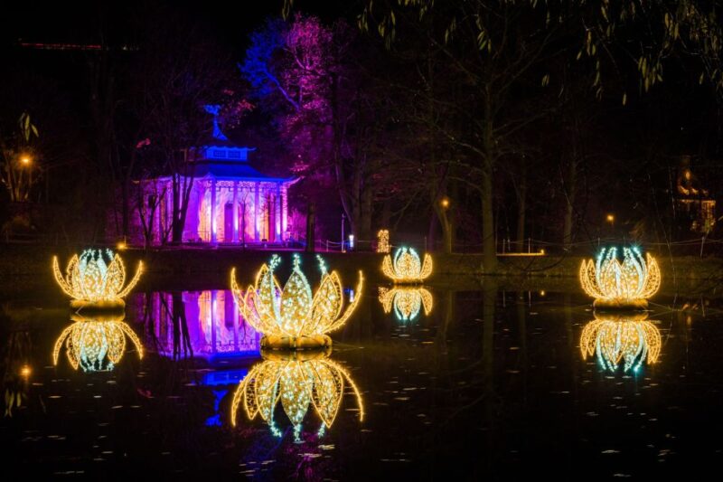 Dresden: Christmas Garden Dresden Entrance Ticket - Ice Rink and Winter Activities