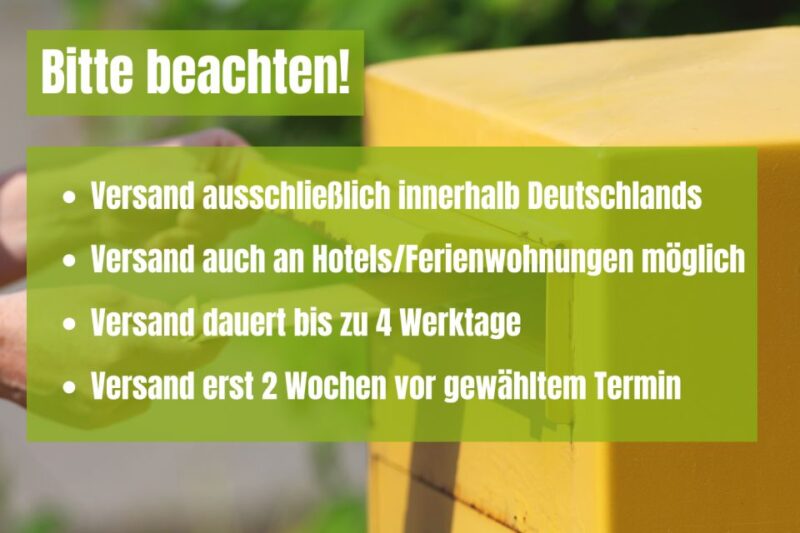 Dresden: Old Town Scavenger Hunt for Children - Frequently Asked Questions