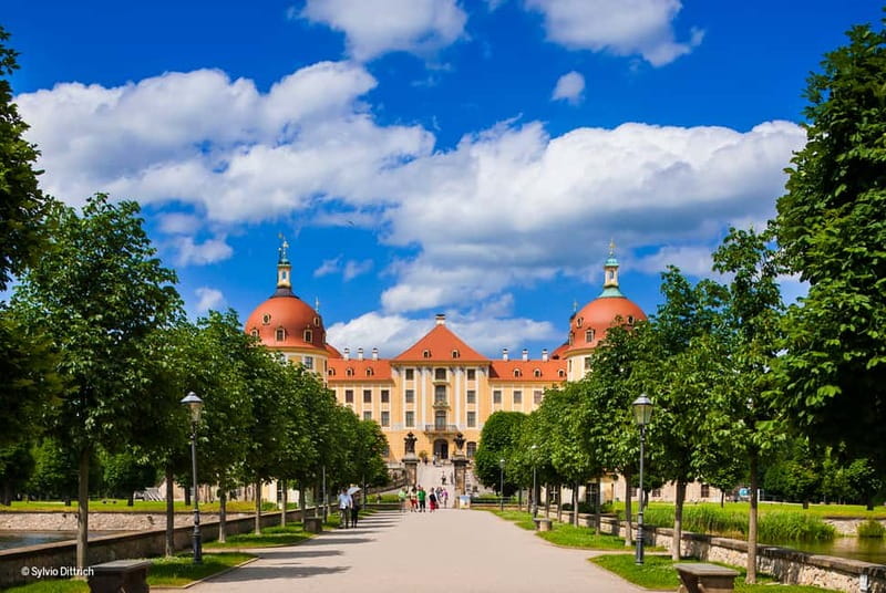 Dresden Regio Card for 1, 2, or 3 Days - Key Points