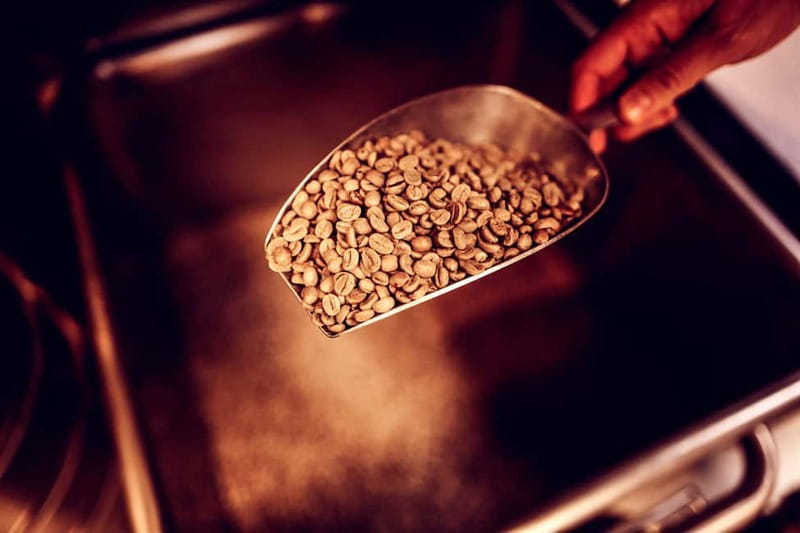 Dresden: Taste of Dresden Food Walk - Frequently Asked Questions