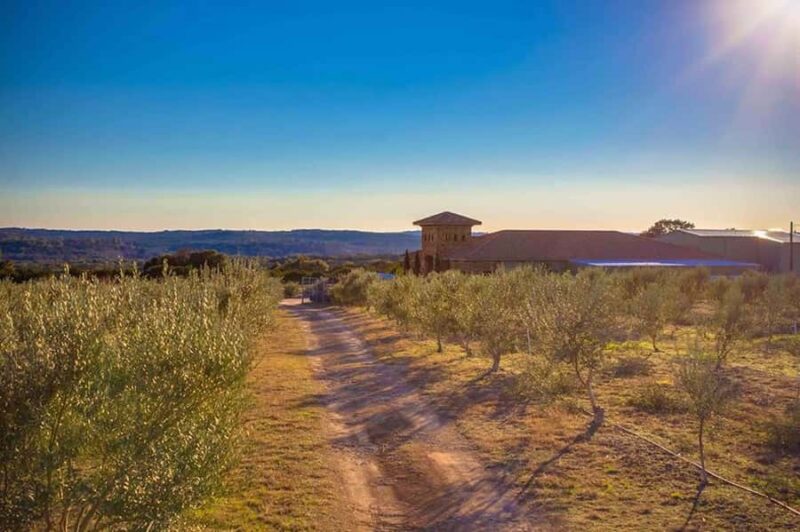 Dripping Springs: Olive Oil and Balsamic Vinegar Tasting - Practical Details: Meeting Point and Schedule