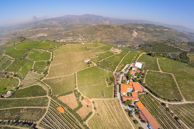 Driver with Private Vehicle in the Douro Valley - Key Points