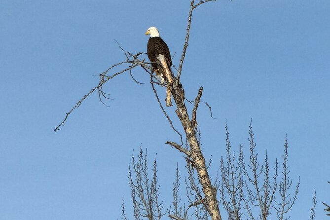 Driving Tour West Glacier National Park (excludes Sun Road) - The Role of the Guides: Knowledge and Personal Touch