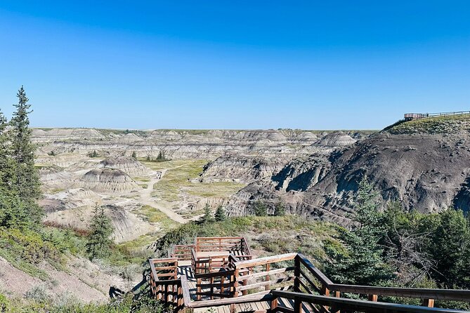 Drumheller Day Trip Museum, Dinosaurs and Historic Sites - Key Points