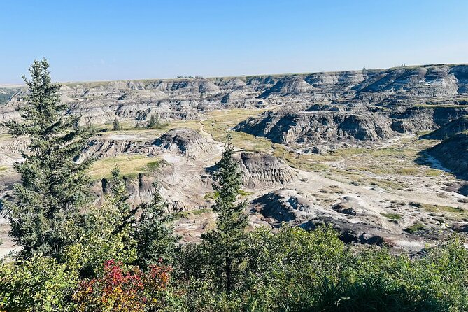 Drumheller Day Trip Museum, Dinosaurs and Historic Sites - The Iconic World’s Largest Dinosaur in Downtown Drumheller