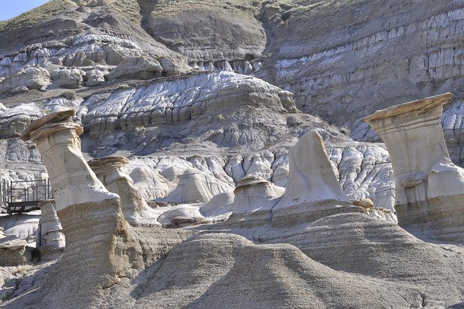 Drumheller Dinosaur Valley & Horseshoe Canyon Adventure Day Tour - Included Amenities and Tour Logistics