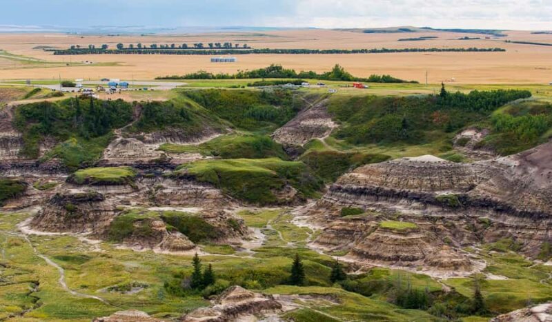Drumheller: Dinosaurs, Museum, & Hoodoos Day Tour - Additional Stop at Hoodoos for Photos and Scenic Views