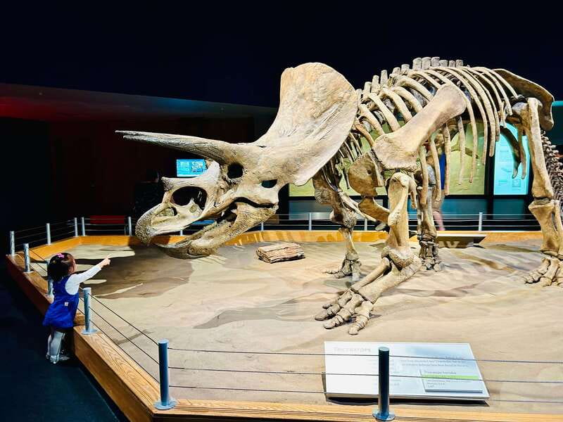 Drumheller Full-day Private Sightseeing Tour - Explore Drumheller’s Dinosaur Heritage on a Private Full-Day Tour