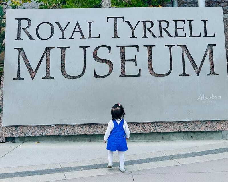 Drumheller Full-day Private Sightseeing Tour - Limitations and Considerations