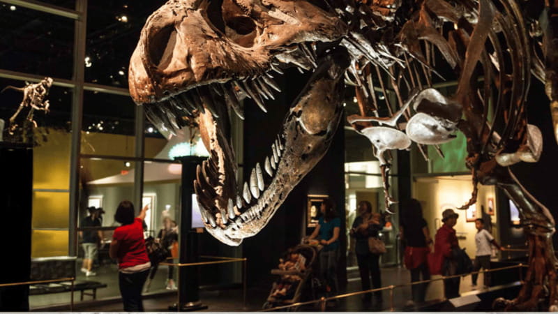 Drumheller Full Day: Tyrrell Museum & Canyon Adventure - The Historic Charm of Wayne and the Last Chance Saloon