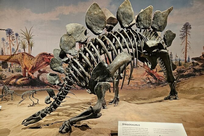 Drumheller, Royal Tyrrell Museum, Hoodoos & Coal Mine Adventure - The Hoodoos: Protecting Mushroom-Shaped Rock Formations