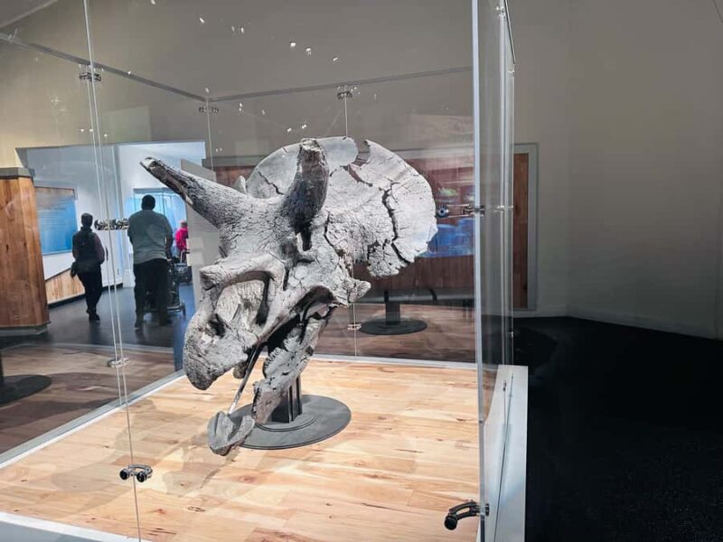 Drumheller Tour: Museum, Hoodoos,Horseshoe Canyon & Lot More - Visiting the World’s Largest Dinosaur