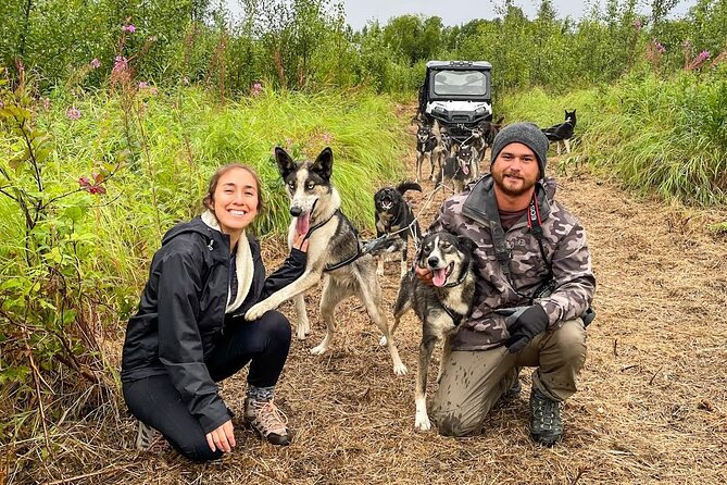 Dryland Dog Sled Tour - Key Points