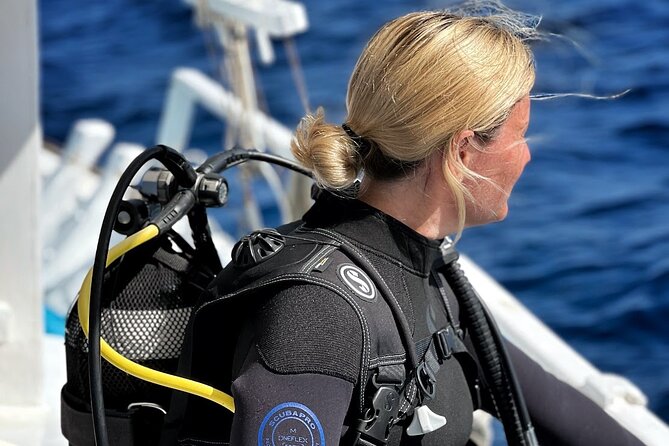 DSD | Discover scuba Diving Experience in Paros - Additional Highlights from Customer Reviews