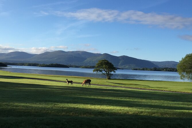 Dublin Airport Private Transfer: Killarney to Dublin Airport - How the Private Killarney to Dublin Airport Transfer Works