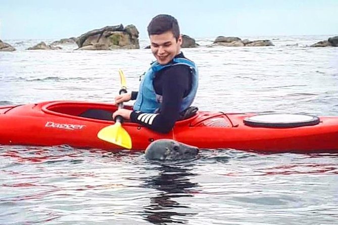 Dublin Bay Seal Kayaking Safari at Dalkey - Preparing for Your Kayaking Adventure
