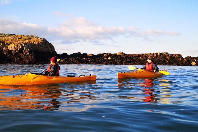 Dublin Bay Seal Kayaking Safari at Dalkey - The Guides Approach and Group Experience