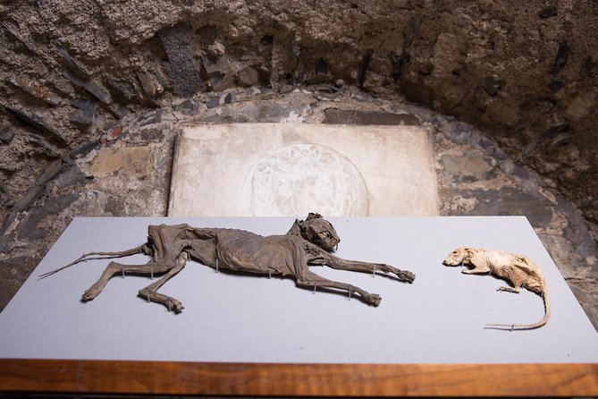 Dublin Christ Church Cathedral Admission Ticket - Architectural Features: Roman and Gothic Styles