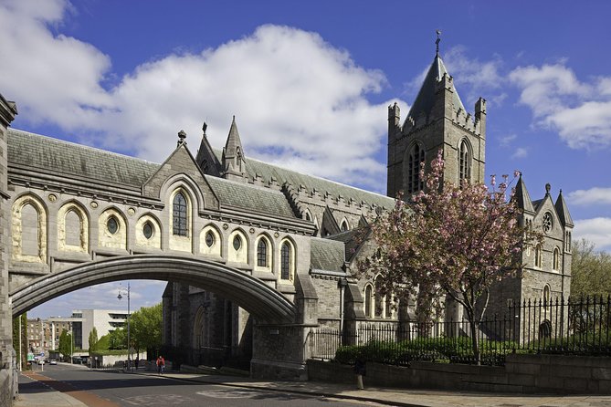 Dublin Christ Church Cathedral Admission Ticket - Practical Details: Opening Hours, Accessibility, and Tips