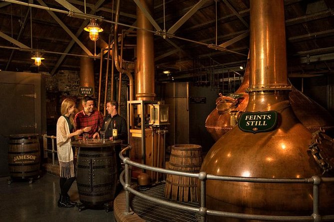 Dublin City and Howth Excursion - Ship to Shore - Logistics and Group Size