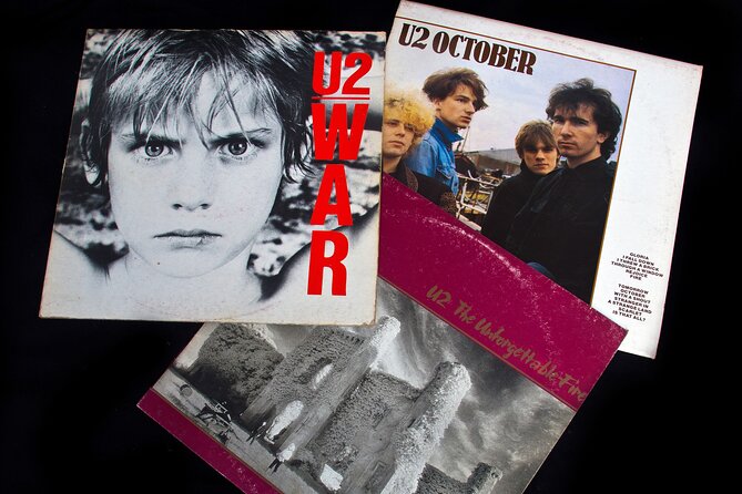 Dublin City/U2 Private Tour Winner's of the Best Private Tour Company of Ireland - Logistics and Booking Considerations