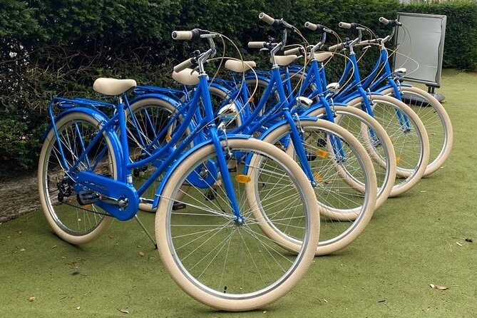 Dublin Full Day Bike Rental - Exploring the Iconic Sights of Phoenix Park
