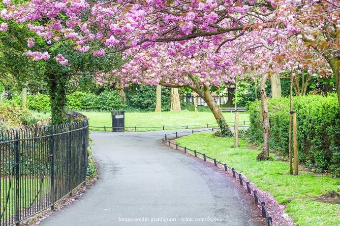 Dublin Off-The-Beaten-Path Private Literary Walking Tour - Visiting Bewley’s Grafton Street Café and Literary Figures