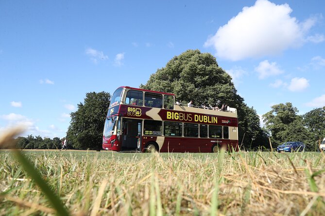 Dublin Shore Excursion, Live Guided Open-top, Hop-on Hop-off Sightseeing Tour - Modern Dublin and Transportation Hubs