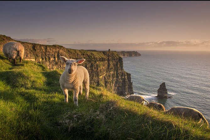 Dublin to Cliffs of Moher, Ennis Town & Bunratty Castle Day Tour - Practical Details and Tips