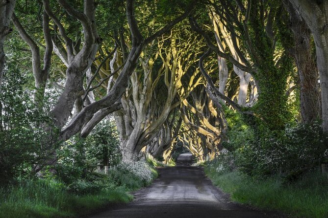 Dublin to Dunluce Castle, Giant's Causeway, Dark Hedges & Belfast - Key Points