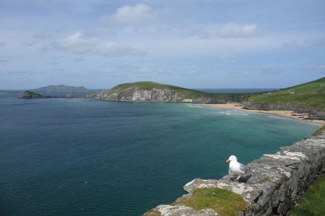 Dublin to South West 5 Day Small-Group Tour with Accommodation - Traveling Through County Clare to Lahinch