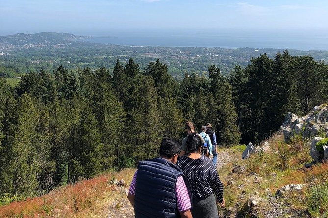 Dublin to Wicklow, Glendalough Small Group Tour with Guided Walk - Price, Booking, and Cancellation