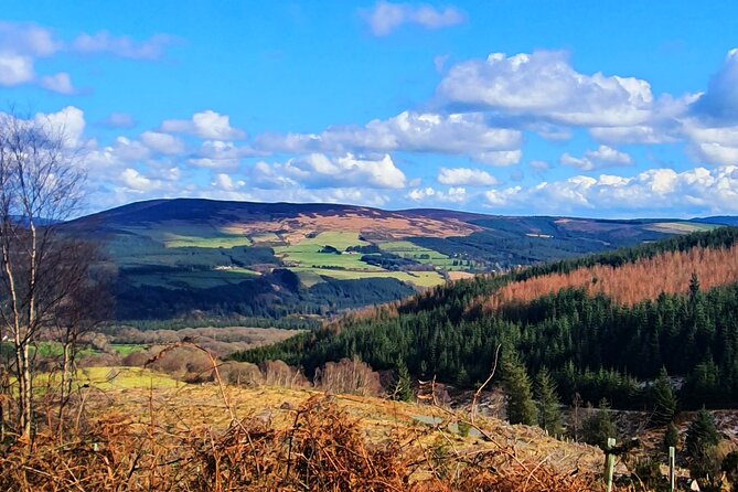 Dublin & Wicklow Mountain Pub Tour small group tour max 15 people - Village Life in Roundwood and the Heart of The Garden of Ireland