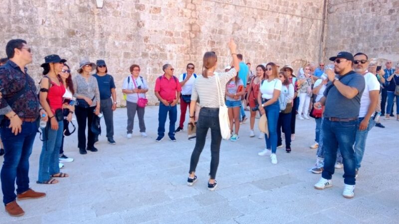 Dubrovnik: 1.5-Hour Guided Old Town Walking Tour - Meeting at Amerling Fountain Outside Pile Gate