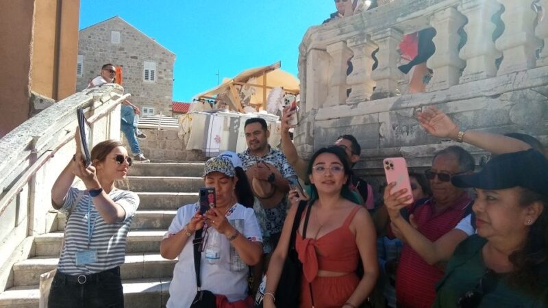 Dubrovnik: 1.5-Hour Guided Old Town Walking Tour - Filming Locations from Popular Movies and Series