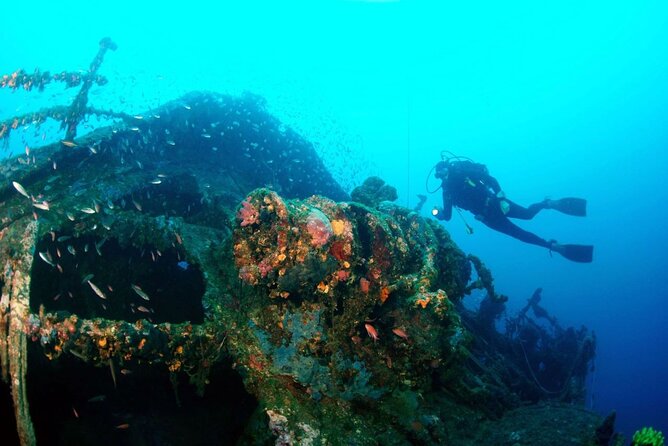 Dubrovnik 1 Dive for Certified Divers - Key Points