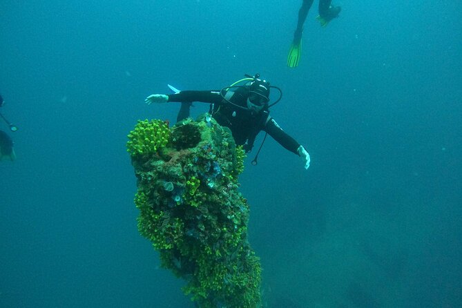 Dubrovnik 1 Dive for Certified Divers - Exploring Croatia’s Best Underwater Features