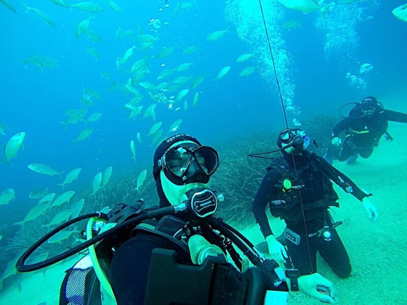 Dubrovnik 2-Hour Uncertified Divers Introductory Dive - Equipment and Safety Measures Included