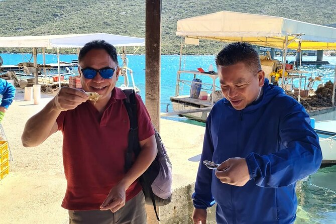 Dubrovnik Airport to Split Private transfer 1-8 pax (Door to Door any location) - Who Will Appreciate This Transfer Service?