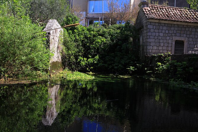 Dubrovnik: Best views Sightseeing Tour - What Sets This Tour Apart from Similar Experiences