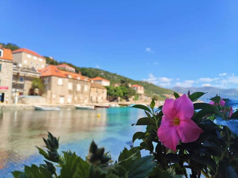 Dubrovnik: Blue Cave & Elaphiti Islands Full-Day Boat Tour - Sapan Island: A Quiet Getaway for an Hour
