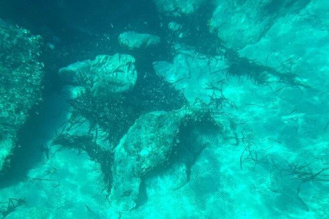 Dubrovnik: Blue Cave & Elaphiti islands & Optional Lunch Onboard - From Dubrovnik to Kolocep Island’s Tranquil Shores